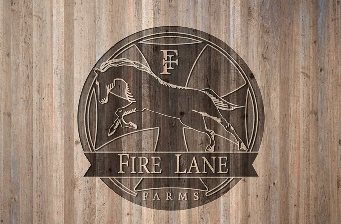 FutureAVO - Porfolios 2